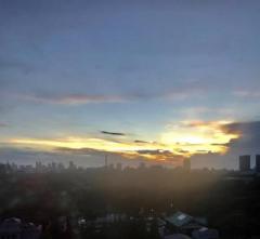 画像(240x221)・拡大画像(640x590)