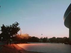 画像(240x180)・拡大画像(640x480)