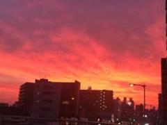 画像(240x180)・拡大画像(640x480)