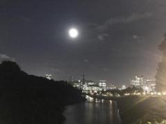 �摜(240x180)�E�g��摜(640x480)