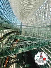 画像(180x240)・拡大画像(480x640)