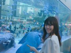 画像(240x180)・拡大画像(640x480)