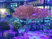 画像(180x135)・拡大画像(640x480)