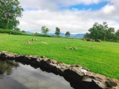 �摜(240x180)�E�g��摜(640x480)