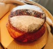 �摜(180x165)�E�g��摜(640x591)