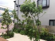 �摜(180x135)�E�g��摜(640x480)