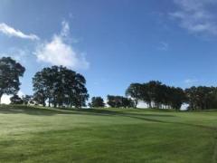 �摜(240x180)�E�g��摜(640x480)