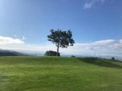 �摜(240x180)�E�g��摜(640x480)