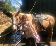 �摜(180x147)�E�g��摜(640x526)