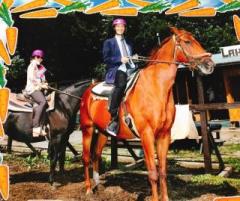 �摜(240x201)�E�g��摜(640x538)