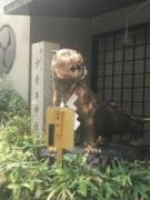 画像(135x180)・拡大画像(480x640)