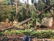 �摜(180x135)�E�g��摜(640x480)