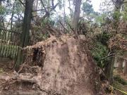 �摜(180x135)�E�g��摜(640x480)