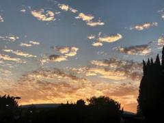 �摜(240x180)�E�g��摜(640x480)