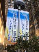 �摜(135x180)�E�g��摜(480x640)