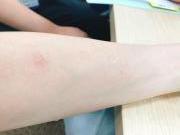 �摜(180x135)�E�g��摜(640x480)