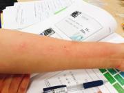 �摜(180x135)�E�g��摜(640x480)