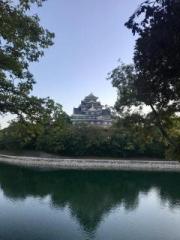 �摜(180x240)�E�g��摜(480x640)