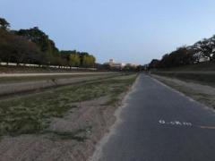 �摜(240x180)�E�g��摜(640x480)