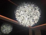 �摜(180x135)�E�g��摜(640x480)