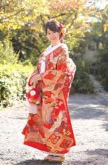 �摜(157x240)�E�g��摜(421x640)