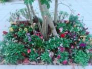 �摜(180x135)�E�g��摜(640x480)