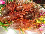 画像(180x135)・拡大画像(640x480)