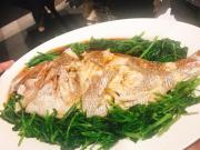 画像(180x135)・拡大画像(640x480)