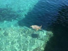 �摜(240x179)�E�g��摜(640x479)