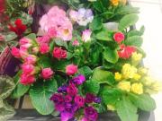 �摜(180x135)�E�g��摜(640x480)