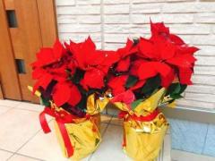 �摜(240x180)�E�g��摜(640x480)