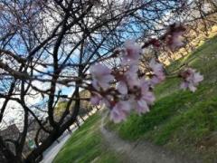 �摜(240x180)�E�g��摜(640x480)