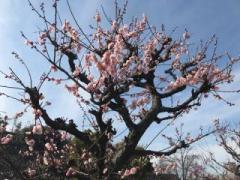 �摜(240x180)�E�g��摜(640x480)