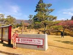 画像(240x180)・拡大画像(640x480)