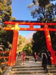 画像(180x240)・拡大画像(480x640)