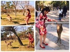 画像(240x180)・拡大画像(640x480)