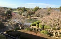 画像(240x153)・拡大画像(640x409)