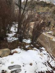 画像(180x240)・拡大画像(480x640)