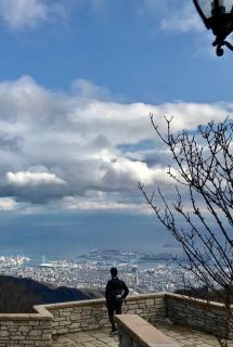 画像(215x320)・拡大画像(430x640)