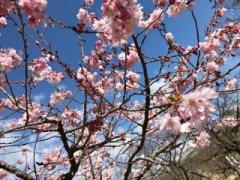 画像(240x180)・拡大画像(640x480)