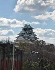 画像(189x240)・拡大画像(505x640)