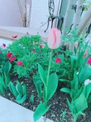 画像(180x240)・拡大画像(480x640)