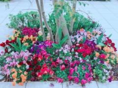 画像(240x180)・拡大画像(640x480)