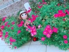 画像(240x180)・拡大画像(640x480)