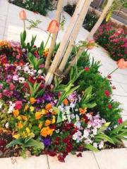 �摜(180x240)�E�g��摜(480x640)