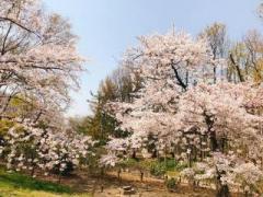 画像(240x180)・拡大画像(640x480)