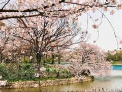 画像(240x180)・拡大画像(640x480)