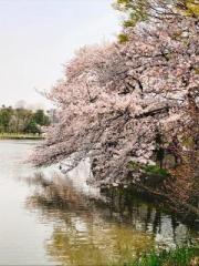 画像(180x240)・拡大画像(480x640)