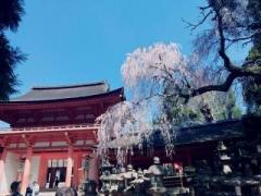 画像(240x180)・拡大画像(640x480)