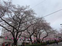 画像(240x180)・拡大画像(640x480)